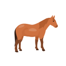 Cheval