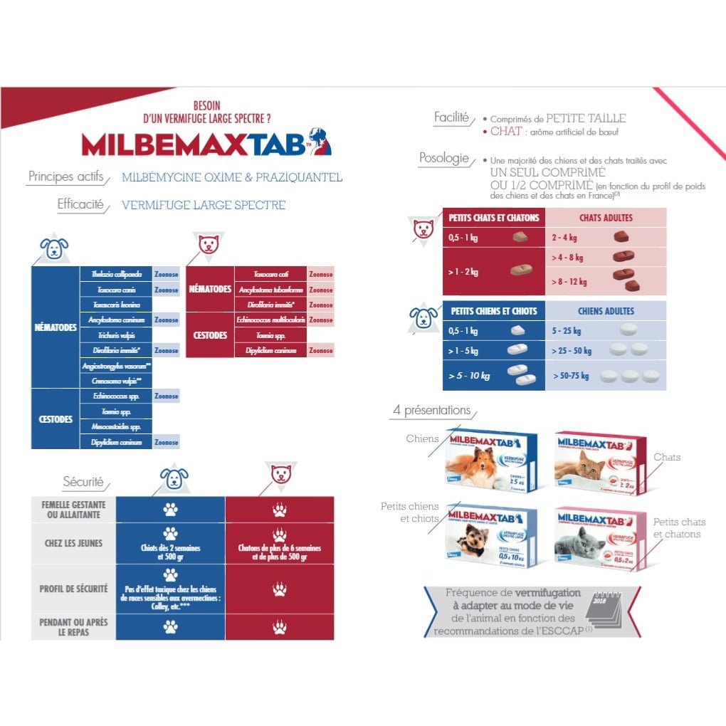 How to deworm his kitten cat? How many times a year do you need to worm your cat? Milbemax tab cat Elanco