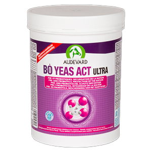 Bo Yeas Act Ultra - Digestion - 600 g - Audevard - Produits-veto.com