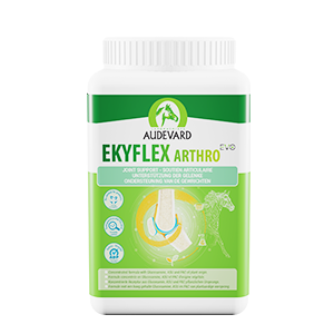 Ekyflex Arthro Evo - Soutien articulaire & arthrose - Pot de 900 g - AUDEVARD - Produits-veto.com
