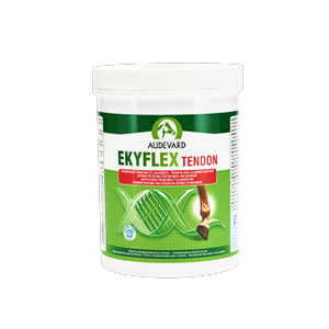 Ekyflex Tendon - Soutien Tendon et ligament - 600 g - Cheval - Audevard - Produits-veto.com