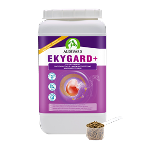 Ekygard + Protection gastrique - Acidité - Cheval - 2,4 kg - Audevard - Produits-veto.com