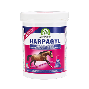 Harpagyl - Harpagophytum - Soutien articulaire - Cheval - 900 g - AUDEVARD