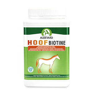 Hoof Biotine - Beauté du sabot - Cheval - 1 kg - Audevard - Produits-veto.co