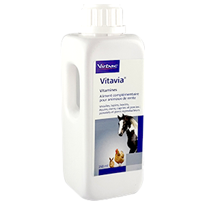 Vitavia - Vitamines - 250 ml - VIRBAC - Produits-veto.com