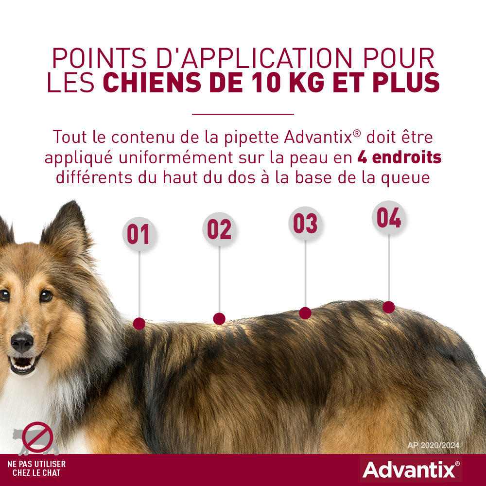Keizer aanvaardbaar is meer dan ADVANTIX - Grote hond - 25 tot 40 kg - Anti-vlooien - 6 p - ELANCO