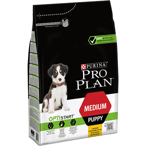 Croquette purina proplan