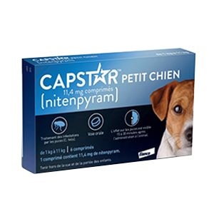 Græder dommer Udfyld Capstar Small Dog - 11,4 mg - Anti-lopper - fra 1 til 11 kg - ELANCO