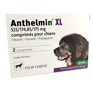 Anthelmin XL - Vermifuge Chiens - de 17,5 à 70 kg - KRKA - Produits-veto.com