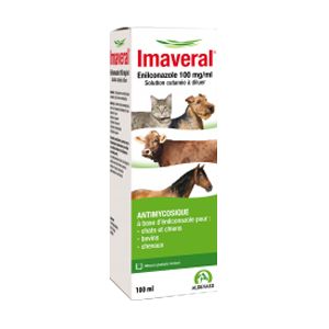 Imaveral - Solution cutanée antimycosique - 100 ml - AUDEVARD