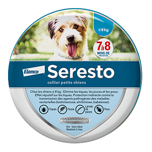 Honderd jaar schijf beroemd Seresto - Anti-vlooienband voor kleine honden - 38 cm - ELANCO