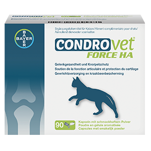 Condrovet Cat - Complementary food - Joints - ELANCO