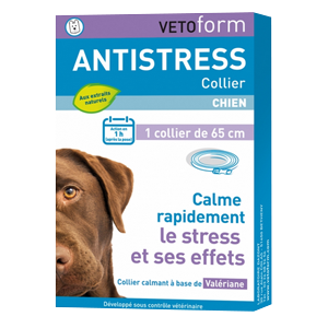 Antistress Collier stress à la Valériane et Lavande - Chien - VETOFORM - DAZONT - Produits-veto.com