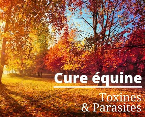 202110 - Cure équine automne - Toxines et Parasites - Miniature