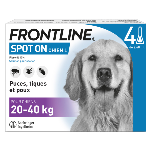 Aannemelijk Relatief Ploeg Frontline Spot-on L - van 20 tot 40 kg - Anti-vlooien - Hond 4 Pipetten