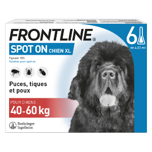 Frontline - Anti-puces - SpotOn - Chien - XL - 6 pipettes - Produits-veto.com