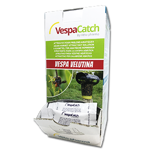 VespaCatch - Boîte de 100 sticks de 10 mL d'attractif - Frelons asiatiques - VETO PHARMA