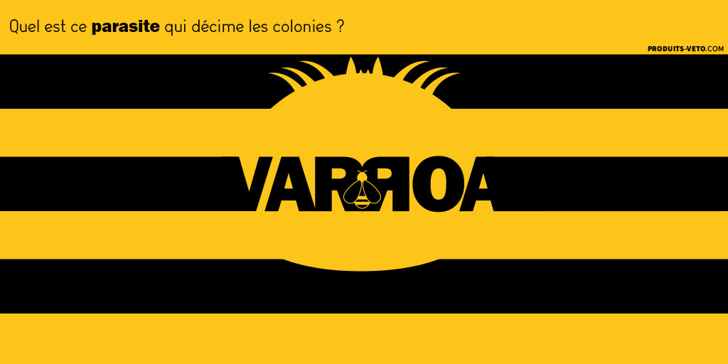 202203 Article sur le Varroa, parasite des Abeilles - Traitement - Une - Produits-veto.com