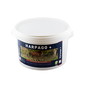 Harpago + 1,5 Kg - Articulations et muscles - GREENPEX