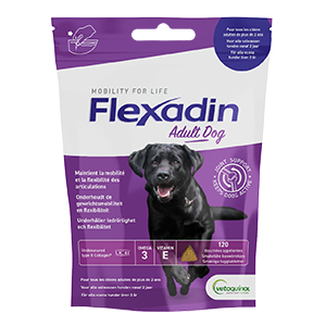 Flexadin - 4life - Mobilité et Articulations - Adult dog - 120 bouchées - VETOQUINOL - Produits-Veto.com
