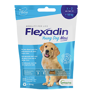 Flexadin -  Young Dog Maxi - Soutien des articulations - 60 bouchées - VETOQUINOL