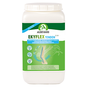 Ekyflex Tendon Evo - 1,8 kg - Soutien tendons et ligaments - AUDEVARD - Produits-veto.com
