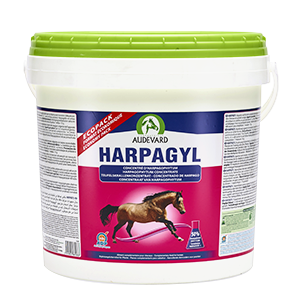 Harpagyl - Harpagophytum - Soutien articulaire - Audevard - Pot de 4,5 kg - Produits-veto.com