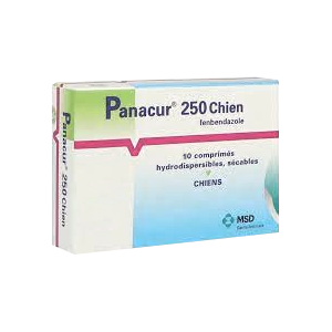 Panacur 250 - Vermifuge - Chiens - 10 comprimés - MSD - Produits-veto.com
