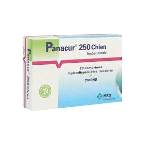 Panacur 250 - Vermifuge - Chiens - 20 comprimés - MSD - Produits-veto.com