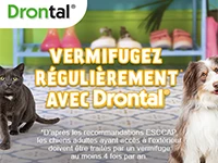 Drontal-Menu