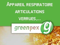 Greenpex-Menu