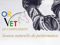 OrVet-Menu
